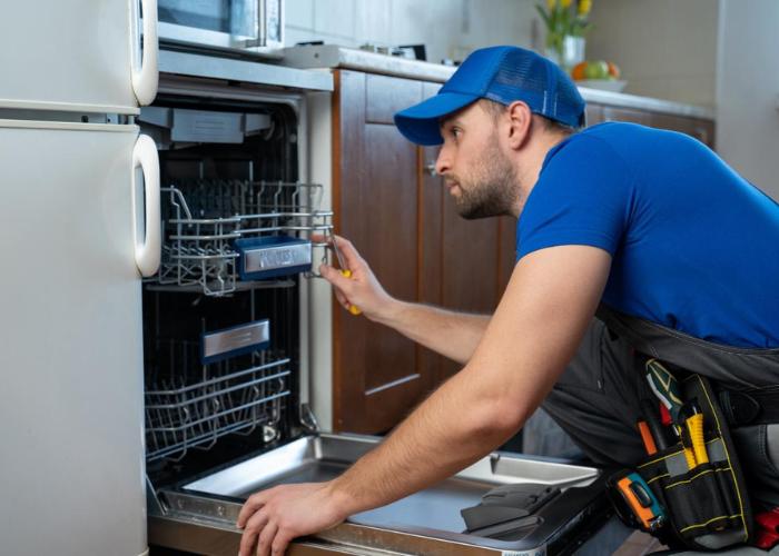 Home-Services-Dishwasher